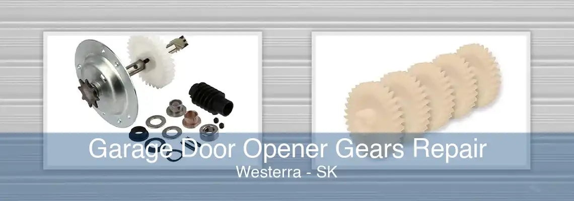 Garage Door Opener Gears Repair Westerra - SK