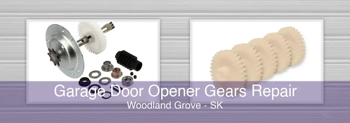 Garage Door Opener Gears Repair Woodland Grove - SK