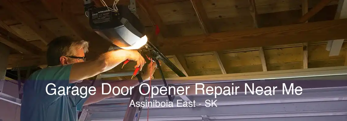 Garage Door Opener Repair Near Me Assiniboia East - SK