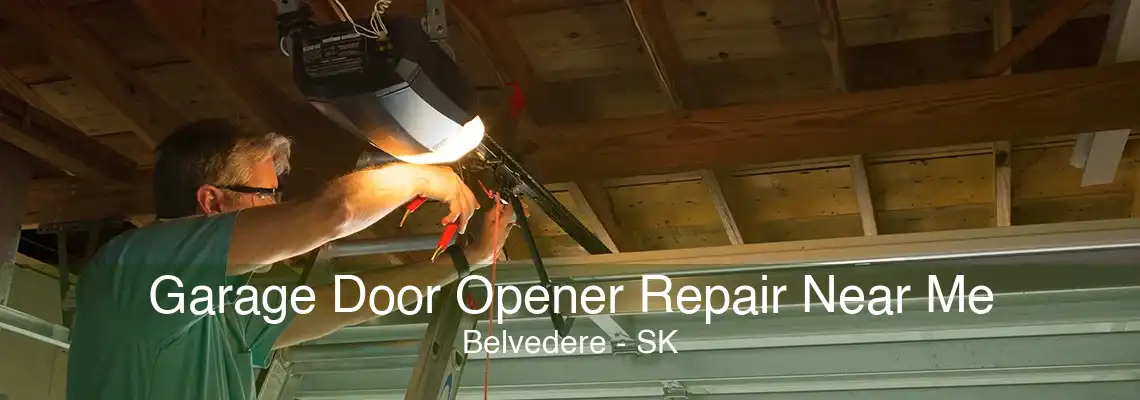 Garage Door Opener Repair Near Me Belvedere - SK