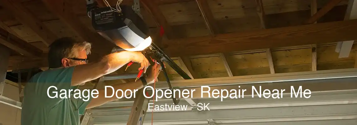 Garage Door Opener Repair Near Me Eastview - SK