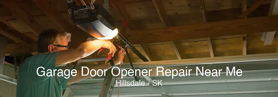 Garage Door Opener Repair Near Me Hillsdale - SK