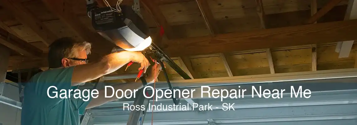 Garage Door Opener Repair Near Me Ross Industrial Park - SK