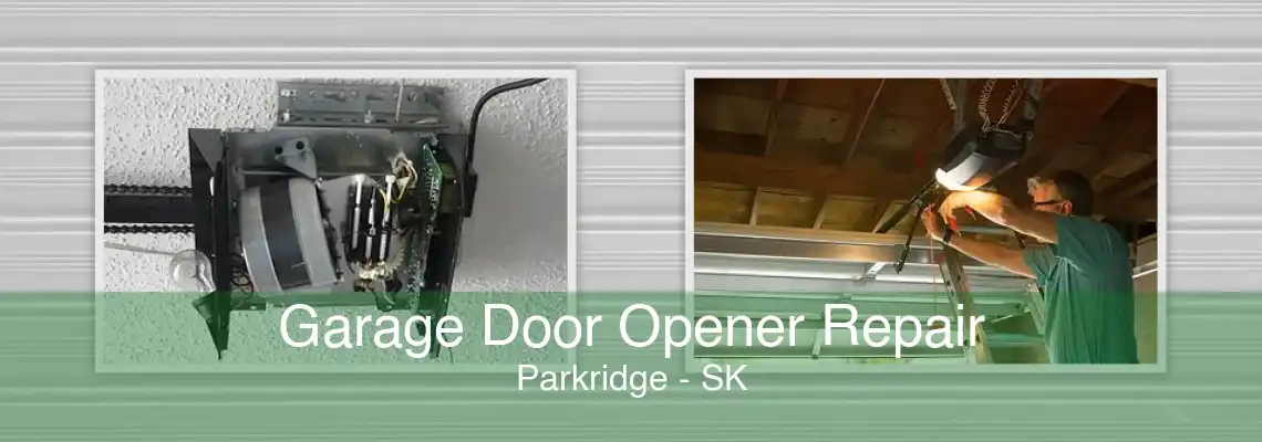 Garage Door Opener Repair Parkridge - SK