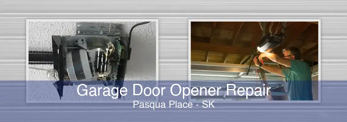 Garage Door Opener Repair Pasqua Place - SK