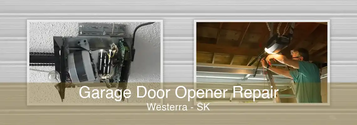 Garage Door Opener Repair Westerra - SK