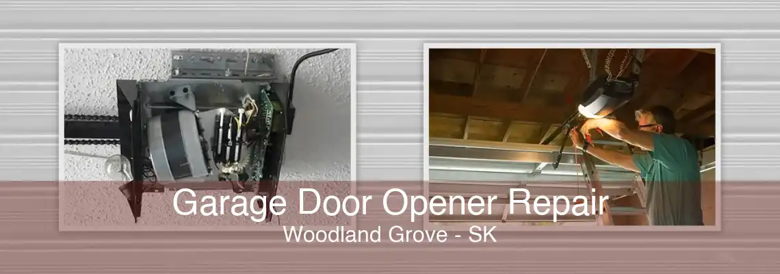 Garage Door Opener Repair Woodland Grove - SK