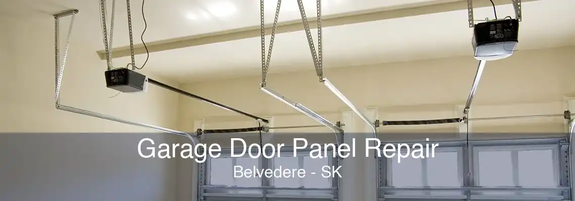 Garage Door Panel Repair Belvedere - SK