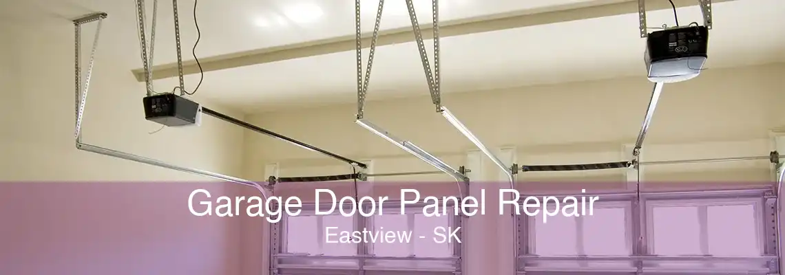 Garage Door Panel Repair Eastview - SK