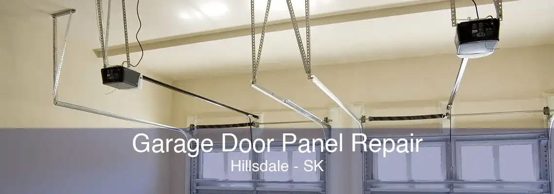 Garage Door Panel Repair Hillsdale - SK