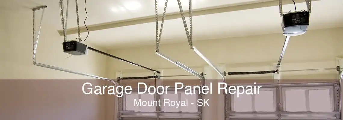 Garage Door Panel Repair Mount Royal - SK