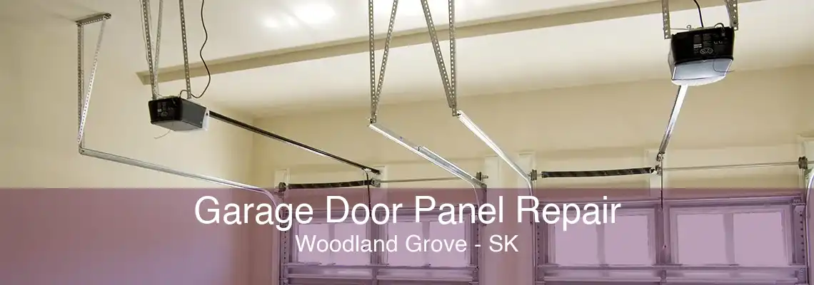 Garage Door Panel Repair Woodland Grove - SK