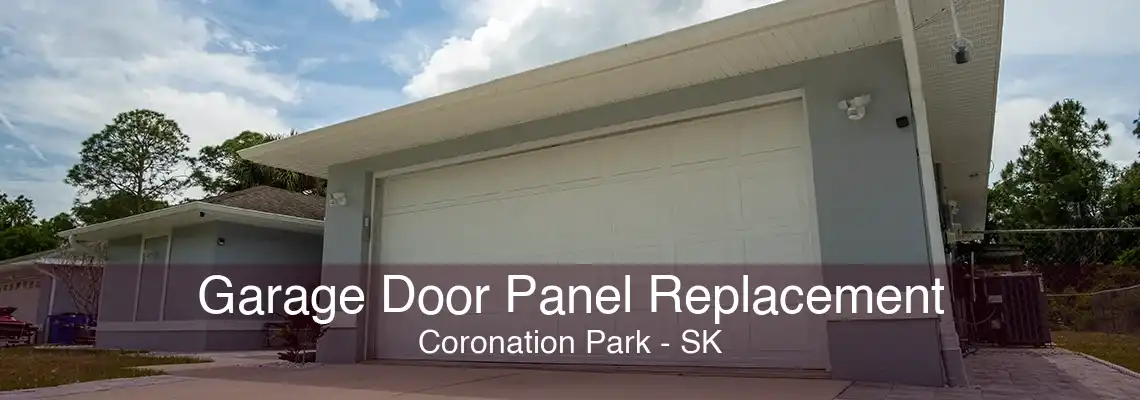 Garage Door Panel Replacement Coronation Park - SK