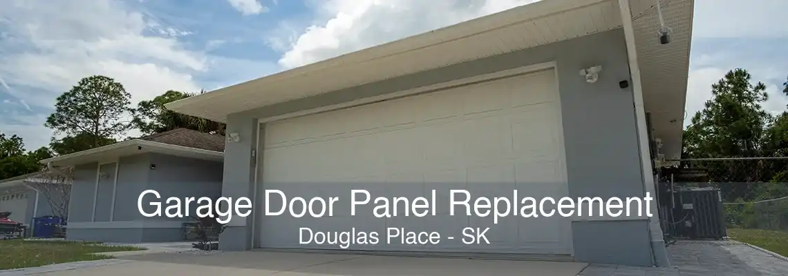 Garage Door Panel Replacement Douglas Place - SK