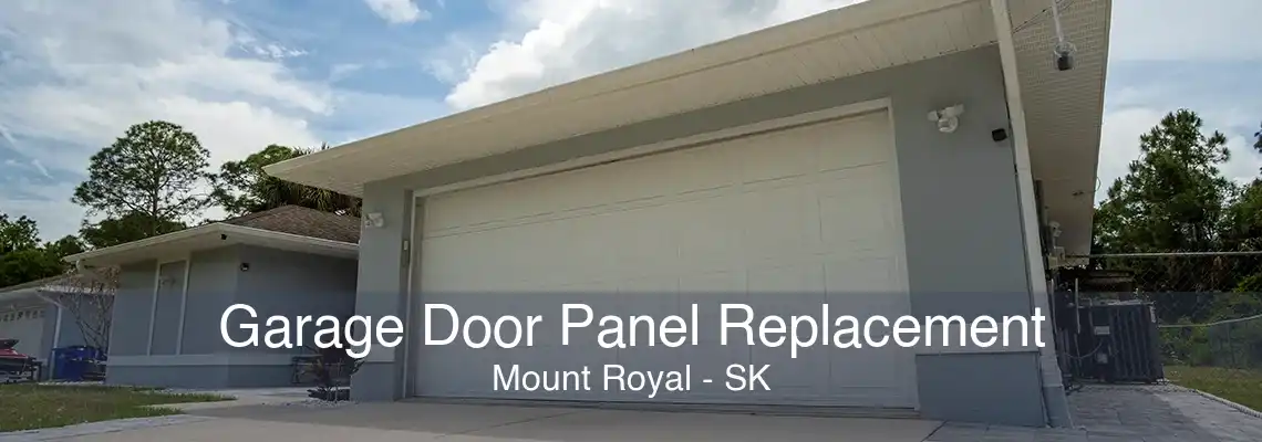 Garage Door Panel Replacement Mount Royal - SK