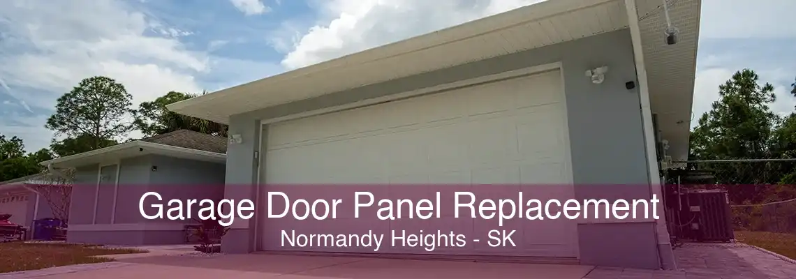 Garage Door Panel Replacement Normandy Heights - SK