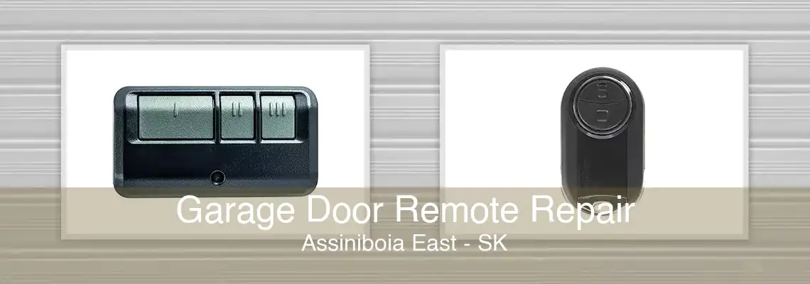 Garage Door Remote Repair Assiniboia East - SK