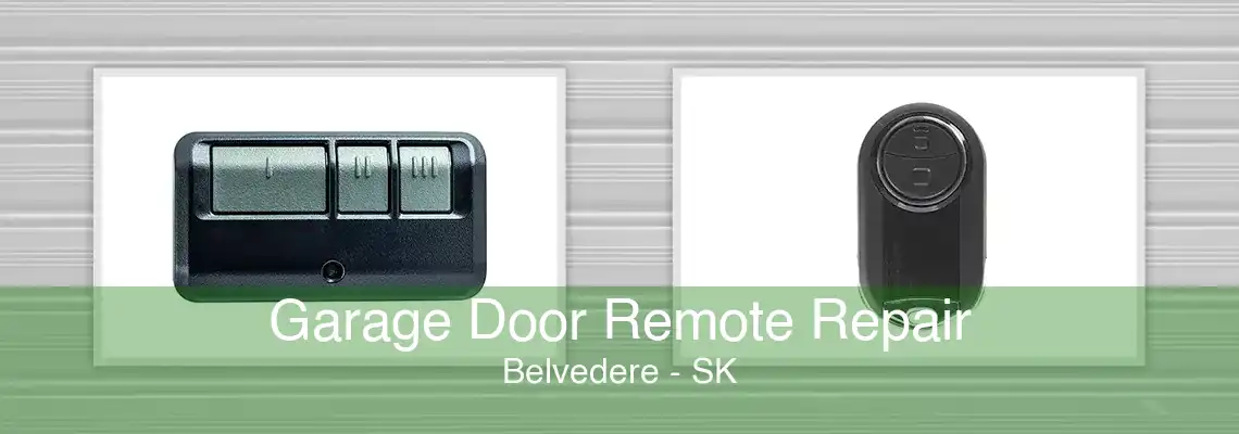 Garage Door Remote Repair Belvedere - SK