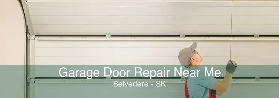 Garage Door Repair Near Me Belvedere - SK