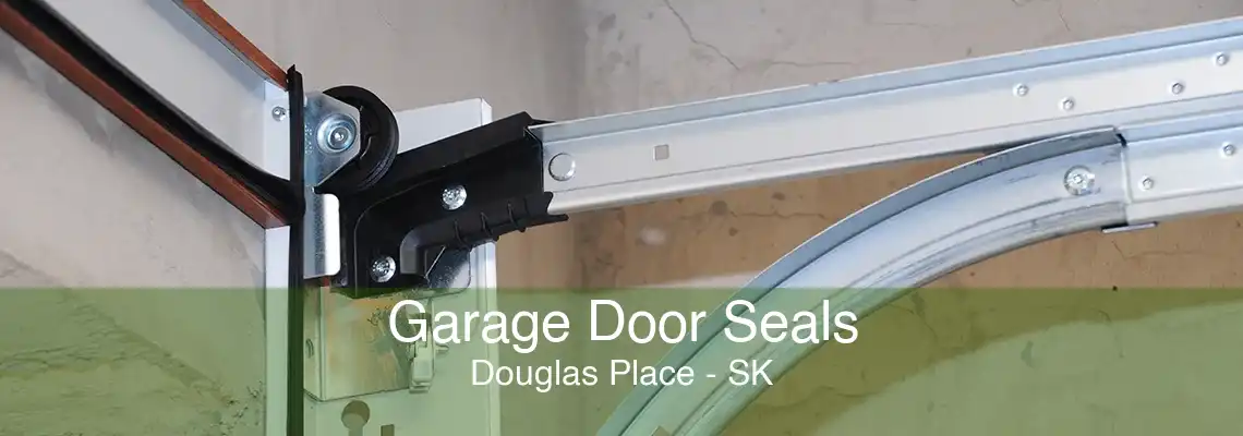 Garage Door Seals Douglas Place - SK