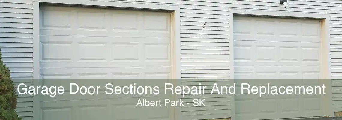 Garage Door Sections Repair And Replacement Albert Park - SK