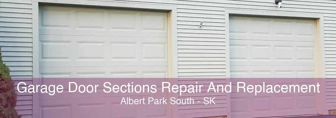 Garage Door Sections Repair And Replacement Albert Park South - SK