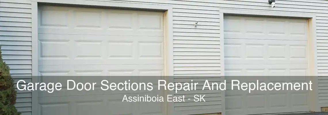 Garage Door Sections Repair And Replacement Assiniboia East - SK