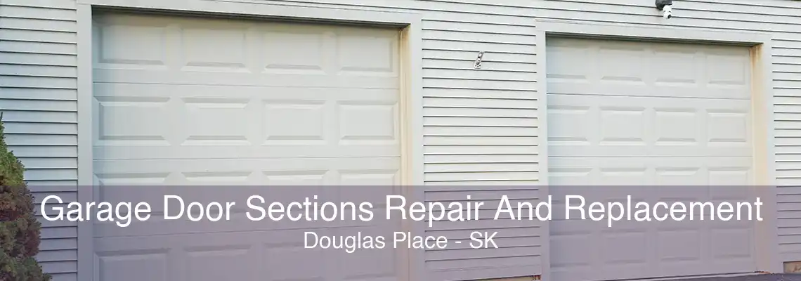 Garage Door Sections Repair And Replacement Douglas Place - SK