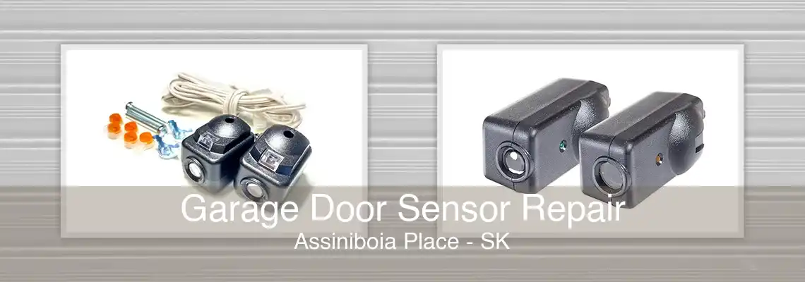 Garage Door Sensor Repair Assiniboia Place - SK