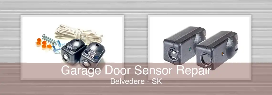 Garage Door Sensor Repair Belvedere - SK