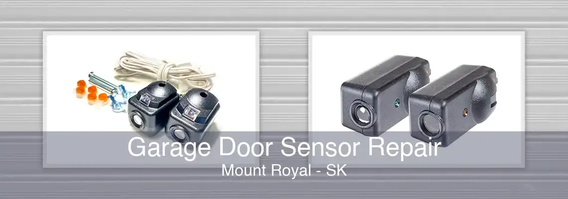 Garage Door Sensor Repair Mount Royal - SK