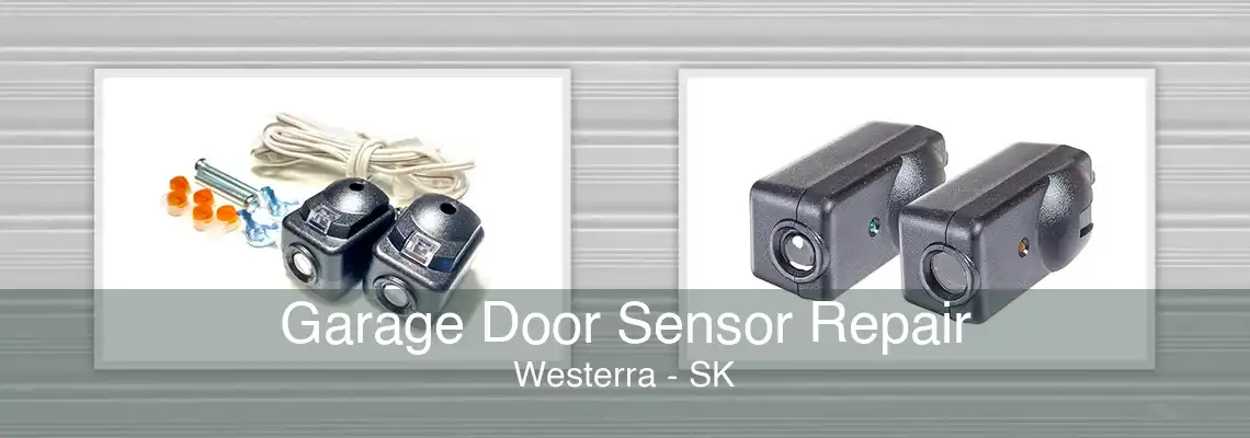 Garage Door Sensor Repair Westerra - SK