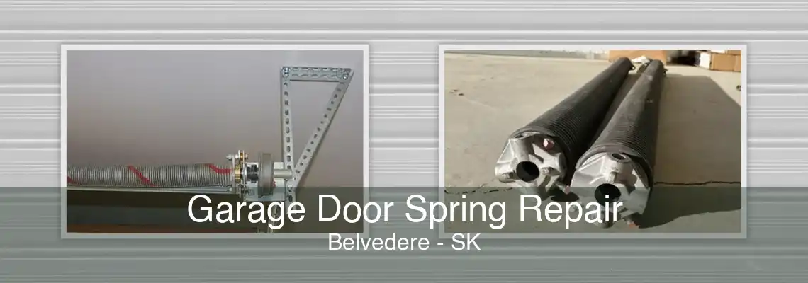 Garage Door Spring Repair Belvedere - SK