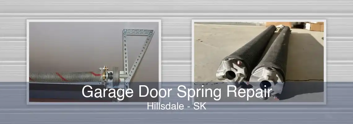 Garage Door Spring Repair Hillsdale - SK