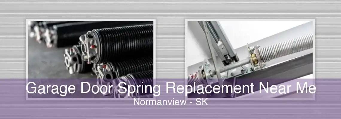 Garage Door Spring Replacement Near Me Normanview - SK