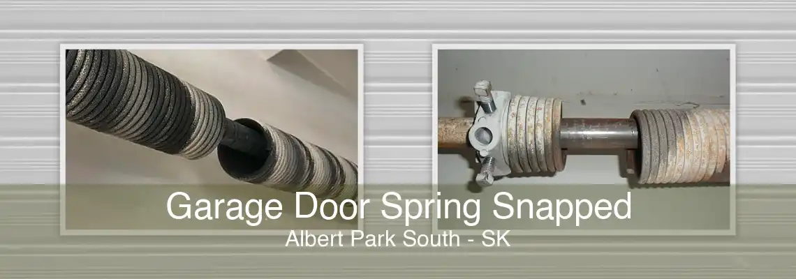 Garage Door Spring Snapped Albert Park South - SK