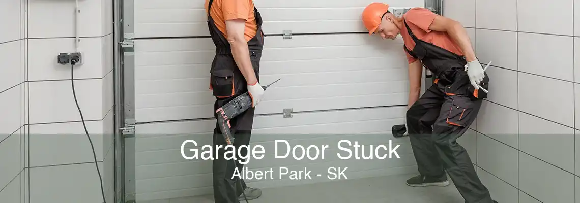 Garage Door Stuck Albert Park - SK