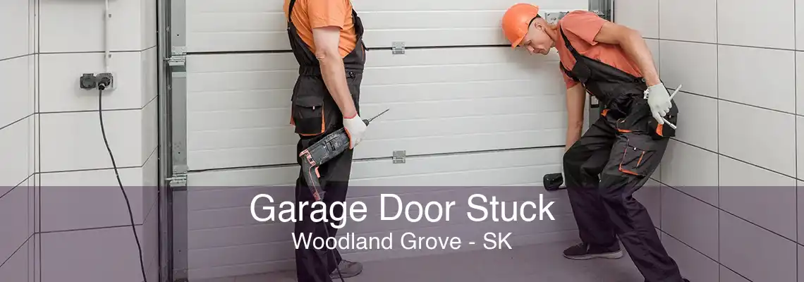 Garage Door Stuck Woodland Grove - SK