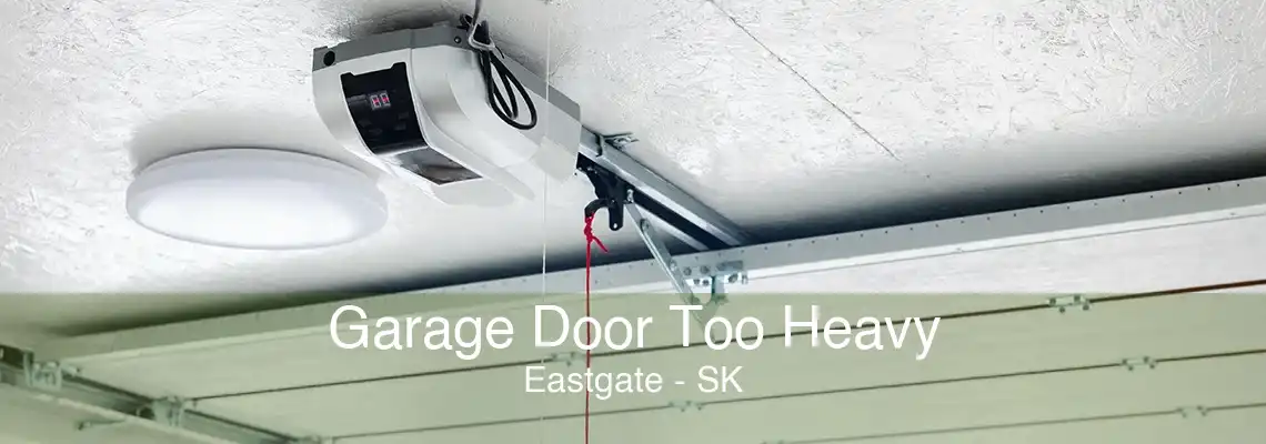 Garage Door Too Heavy Eastgate - SK