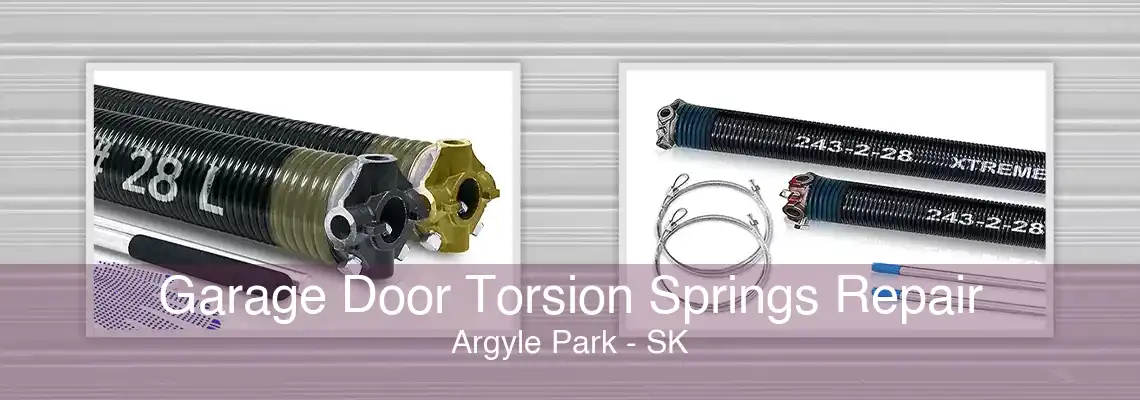 Garage Door Torsion Springs Repair Argyle Park - SK