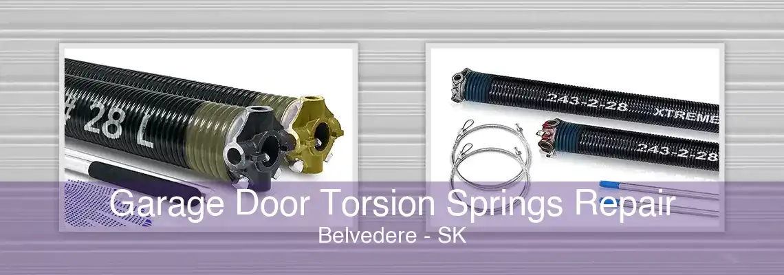 Garage Door Torsion Springs Repair Belvedere - SK