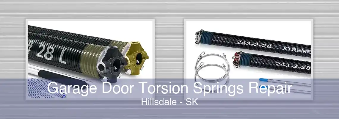 Garage Door Torsion Springs Repair Hillsdale - SK