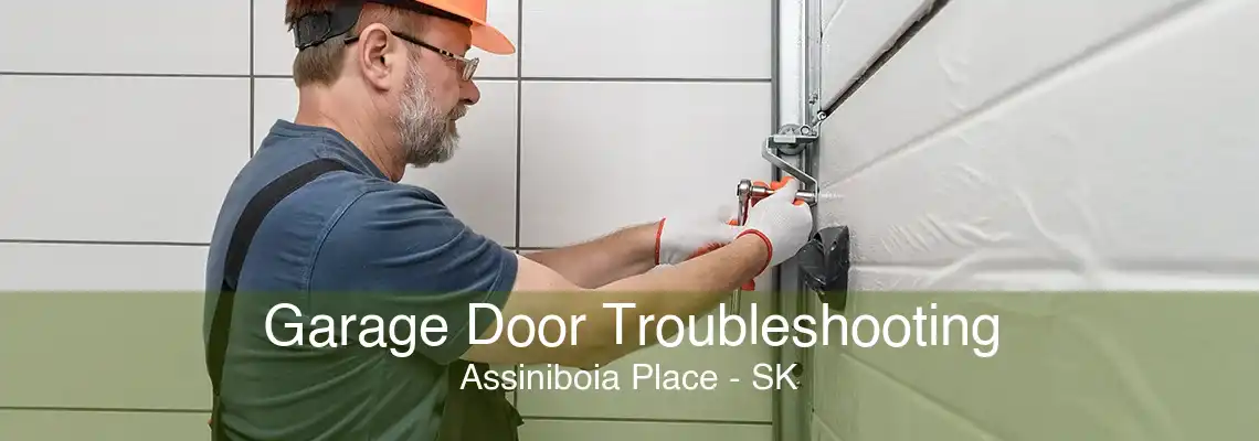 Garage Door Troubleshooting Assiniboia Place - SK