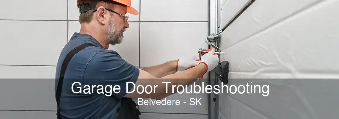 Garage Door Troubleshooting Belvedere - SK