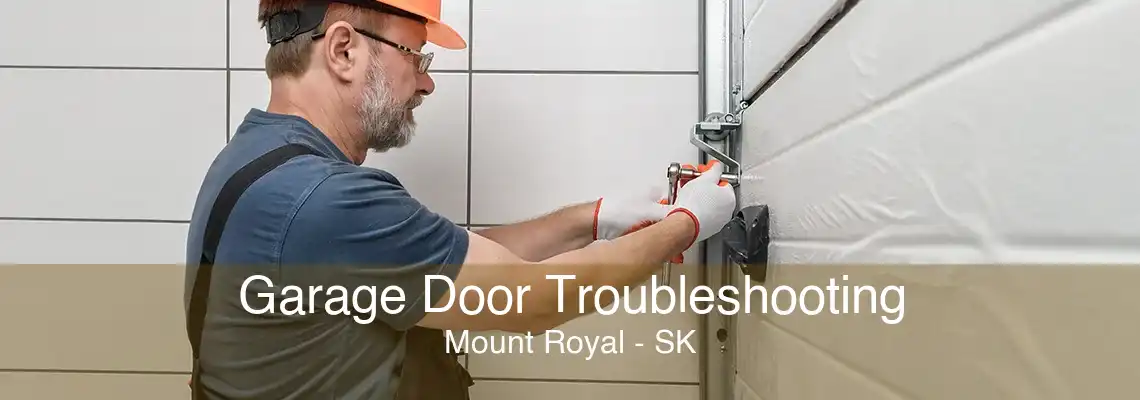 Garage Door Troubleshooting Mount Royal - SK