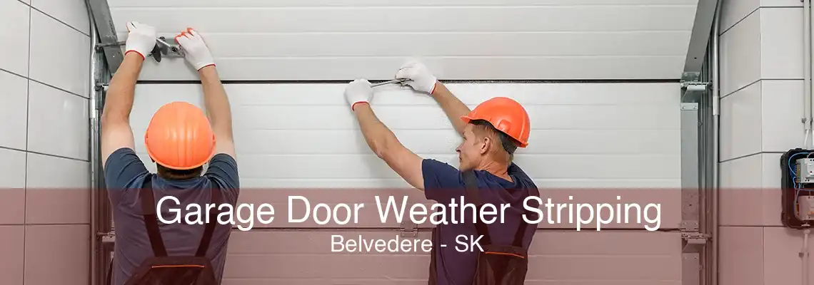 Garage Door Weather Stripping Belvedere - SK