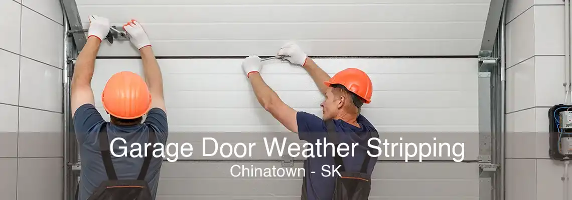 Garage Door Weather Stripping Chinatown - SK