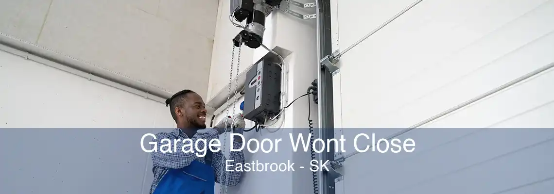 Garage Door Wont Close Eastbrook - SK