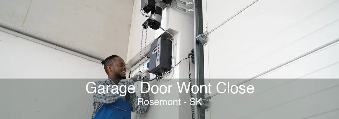 Garage Door Wont Close Rosemont - SK