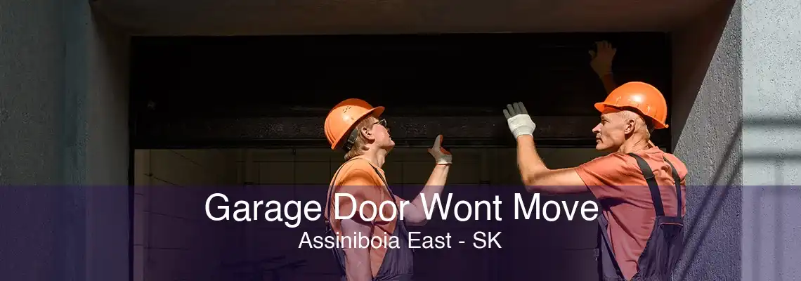 Garage Door Wont Move Assiniboia East - SK